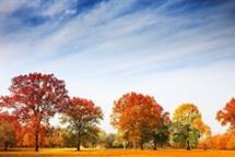 環(huán)境工程專項(xiàng)設(shè)計(jì)乙級資質(zhì)辦理要求