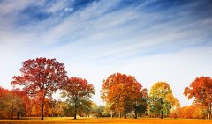 環(huán)境工程專項設(shè)計乙級資質(zhì)辦理要求